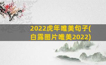 2022虎年唯美句子(白露图片唯美2022)