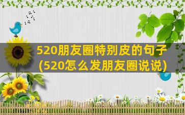 520朋友圈特别皮的句子(520怎么发朋友圈说说)