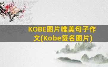 KOBE图片唯美句子作文(Kobe签名图片)