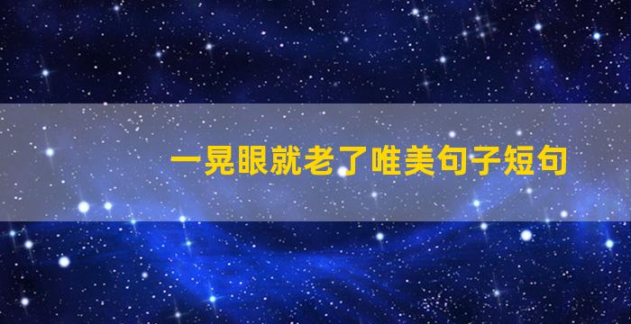 一晃眼就老了唯美句子短句