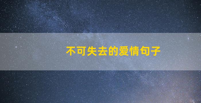 不可失去的爱情句子