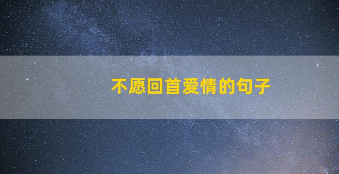 不愿回首爱情的句子