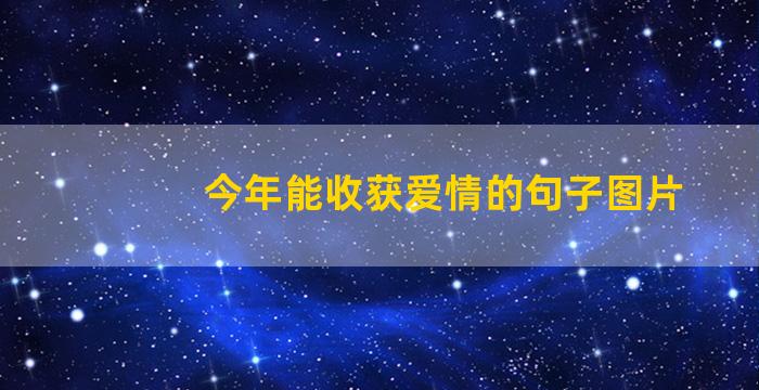 今年能收获爱情的句子图片