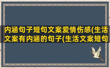 内涵句子短句文案爱情伤感(生活文案有内涵的句子(生活文案短句))