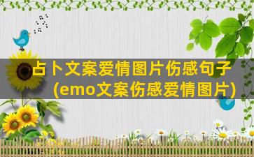 占卜文案爱情图片伤感句子(emo文案伤感爱情图片)