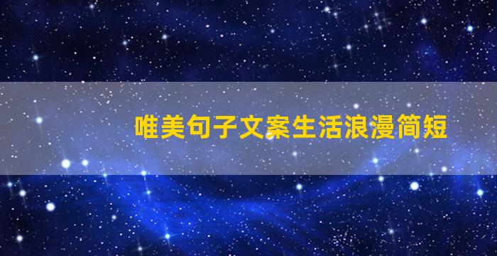 唯美句子文案生活浪漫简短