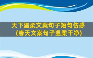 天下温柔文案句子短句伤感(春天文案句子温柔干净)