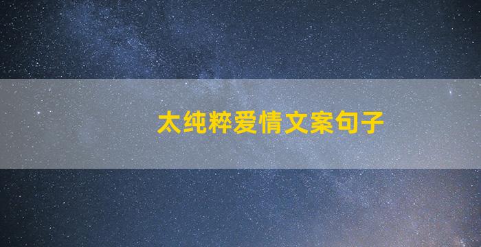 太纯粹爱情文案句子