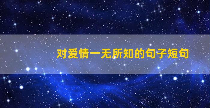 对爱情一无所知的句子短句