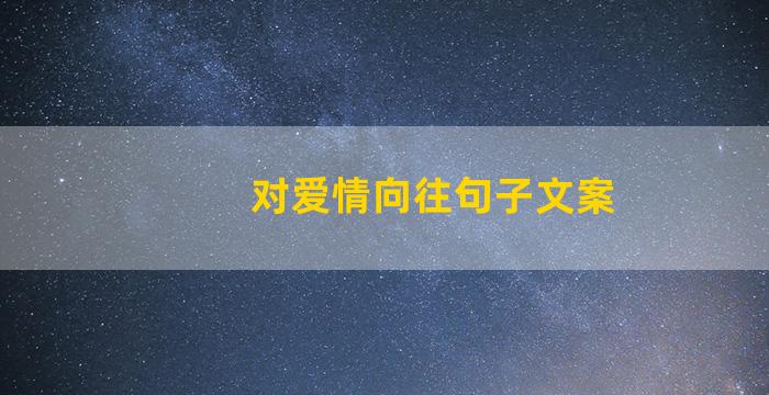 对爱情向往句子文案