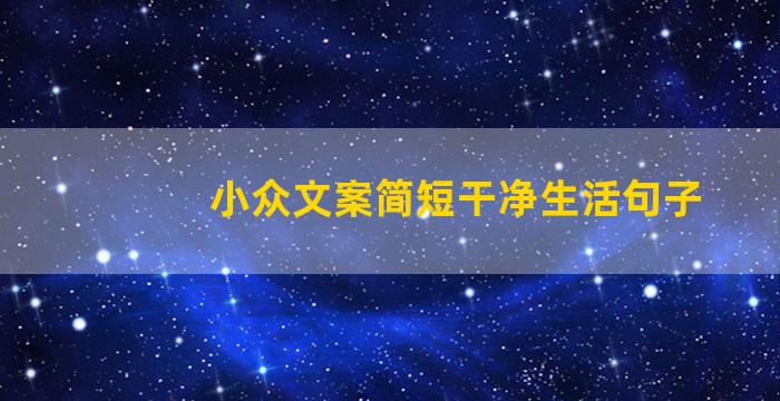 小众文案简短干净生活句子