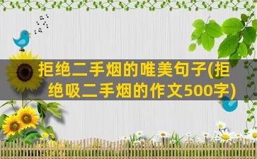 拒绝二手烟的唯美句子(拒绝吸二手烟的作文500字)