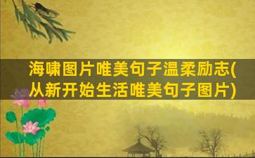 海啸图片唯美句子温柔励志(从新开始生活唯美句子图片)