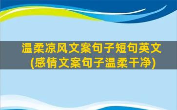 温柔凉风文案句子短句英文(感情文案句子温柔干净)