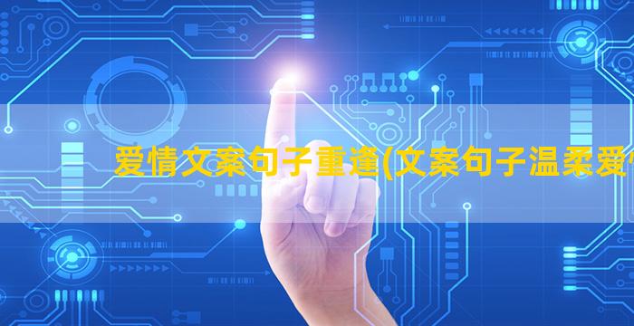 爱情文案句子重逢(文案句子温柔爱情)