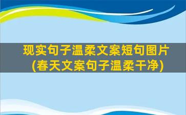 现实句子温柔文案短句图片(春天文案句子温柔干净)