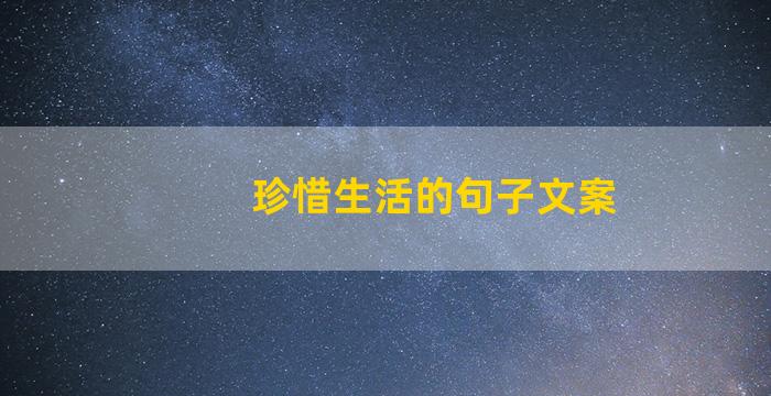 珍惜生活的句子文案