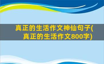 真正的生活作文神仙句子(真正的生活作文800字)